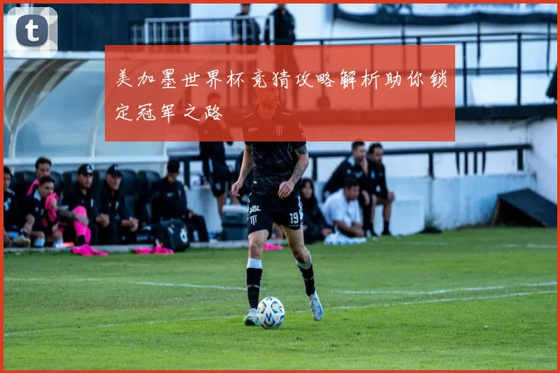 美加墨世界杯竞猜攻略解析助你锁定冠军之路