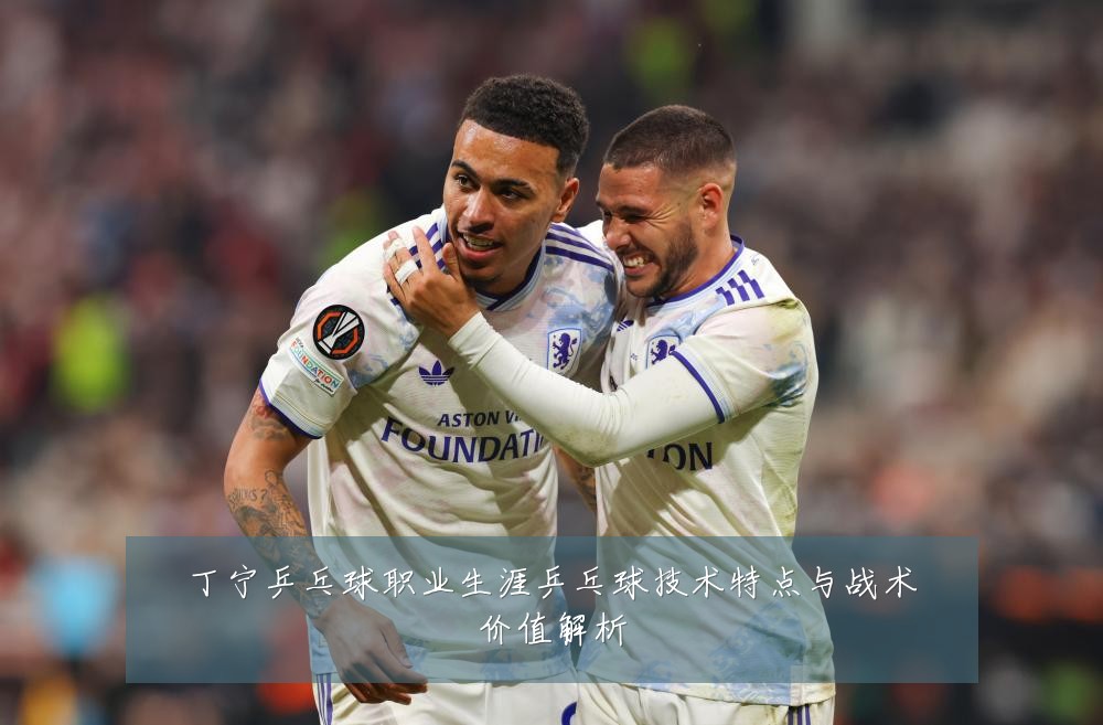 丁宁乒乓球职业生涯乒乓球技术特点与战术价值解析