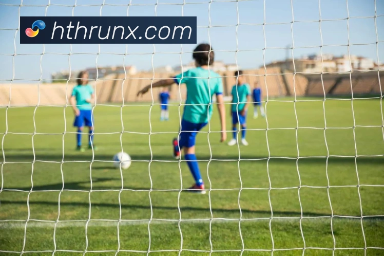 华体会官网全站App